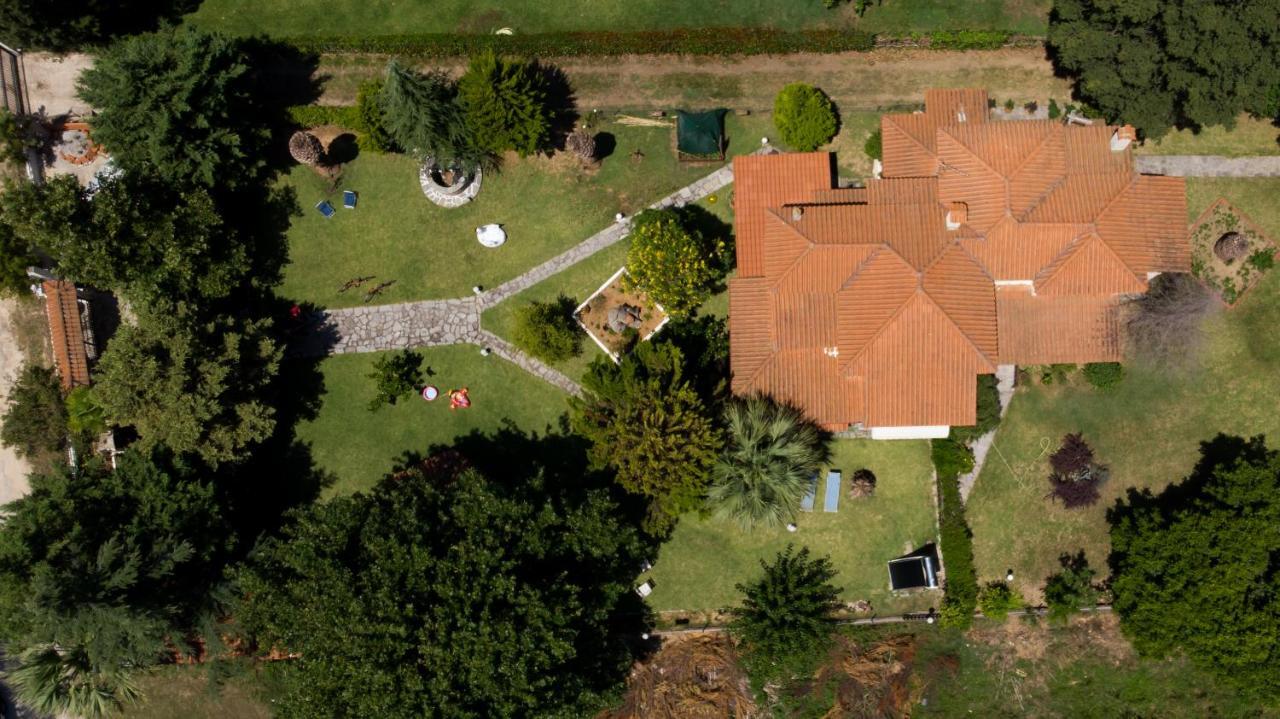 Villa Palmera Ierissos Exterior foto